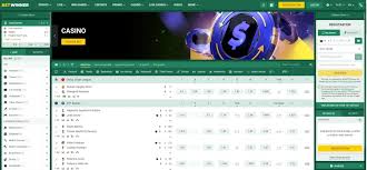 Experience the Thrills of Baji Casino